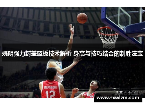 姚明强力封盖篮板技术解析 身高与技巧结合的制胜法宝