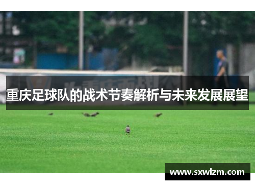 重庆足球队的战术节奏解析与未来发展展望